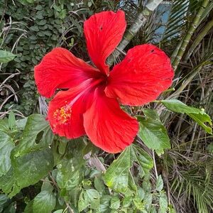 Meet your Posher, Mykah